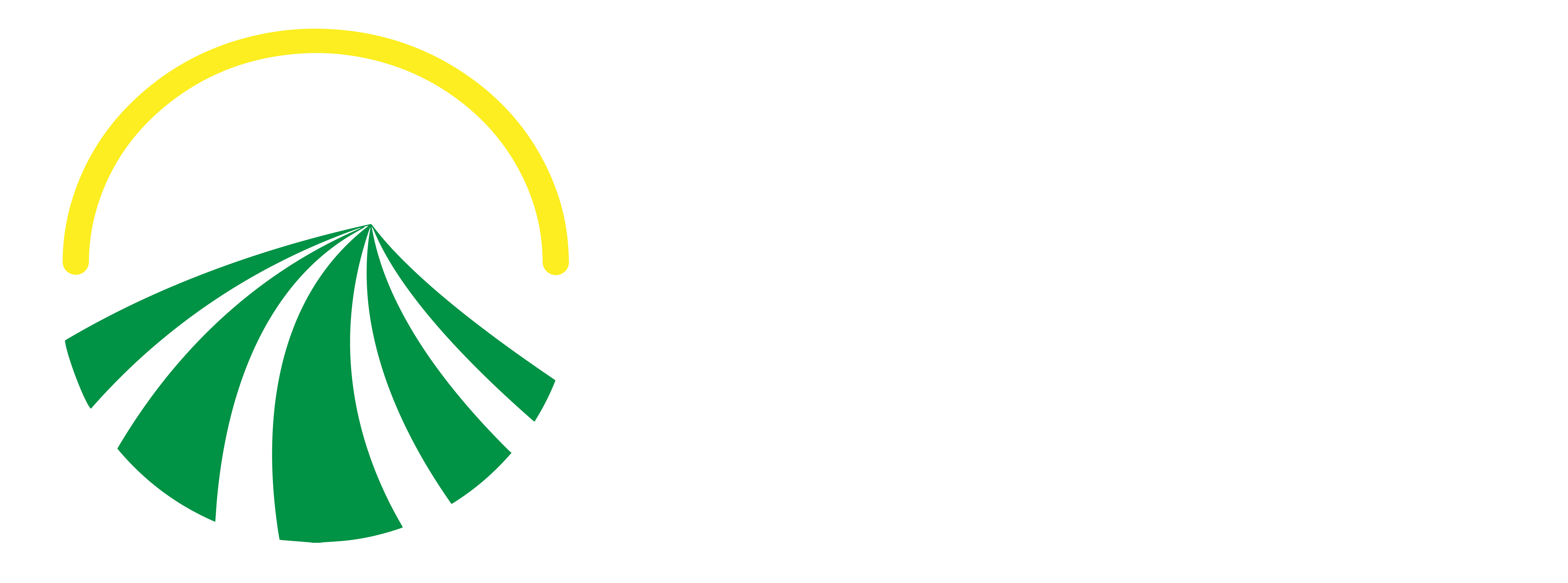 ARM Services - Logo