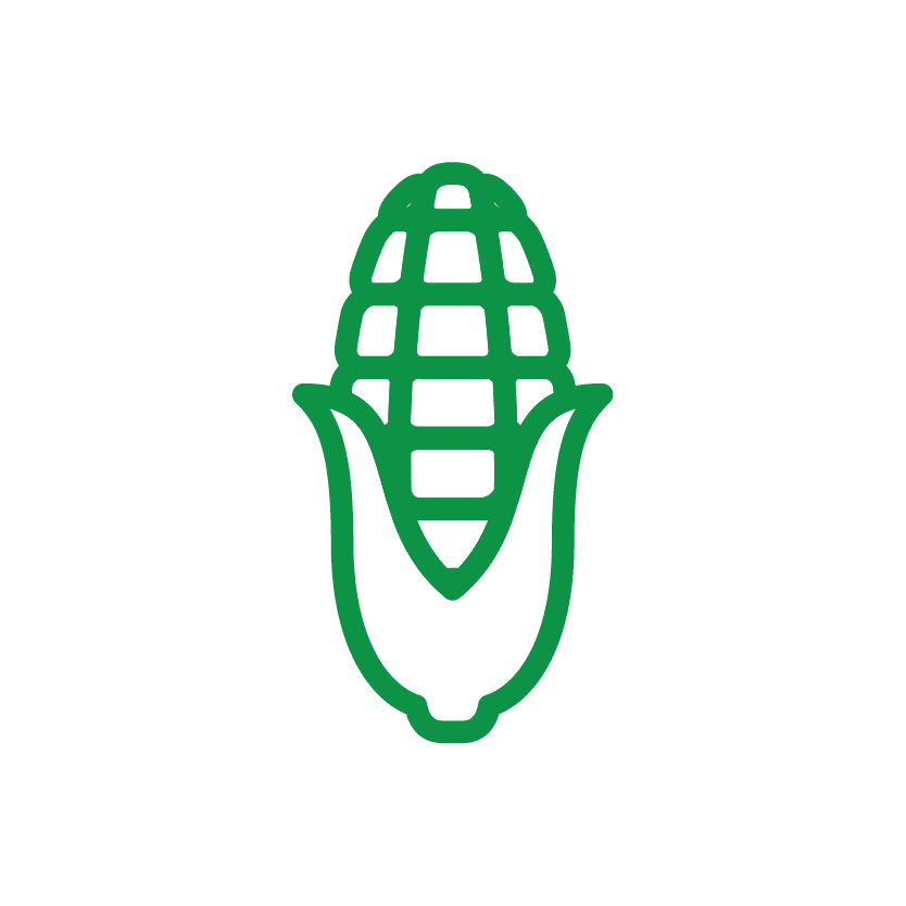 Crop Insurance Icon